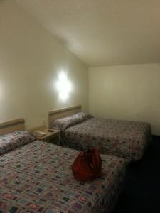 motel 6 room